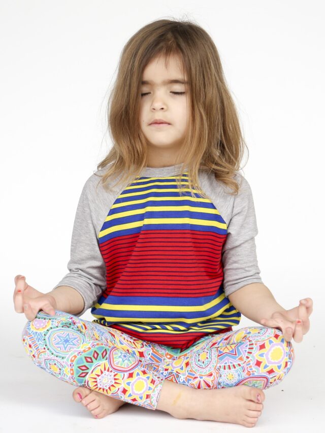 गुरु पूर्णिमा 2025 की तैयारियाँ और प्रमुख स्थापनाएँ